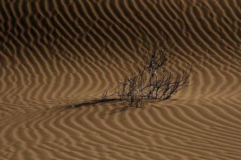 Untouched Wilderness